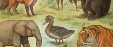 Részletes, színes fantasy tájkép hatalmas, lebegő szigetekkel, buja zöld növényzettel és varázslatos lényekkel a naplementében.